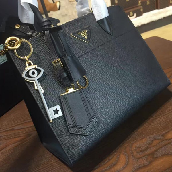 cohotbag Pra*a paradigme 3852