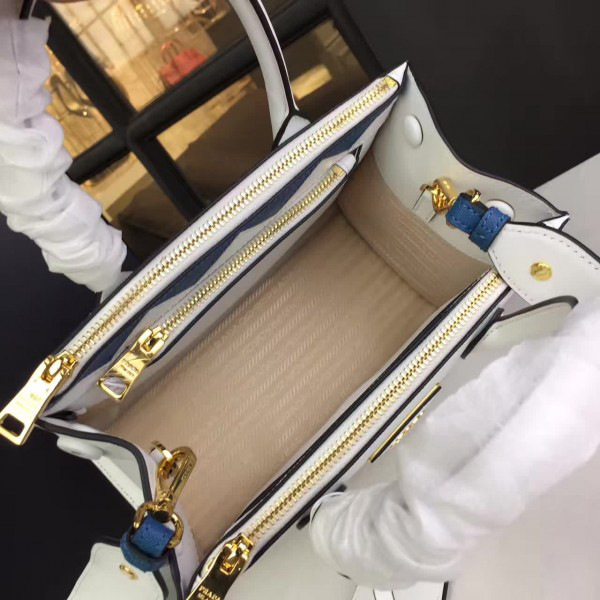 cohotbag Pra*a paradigme 3853