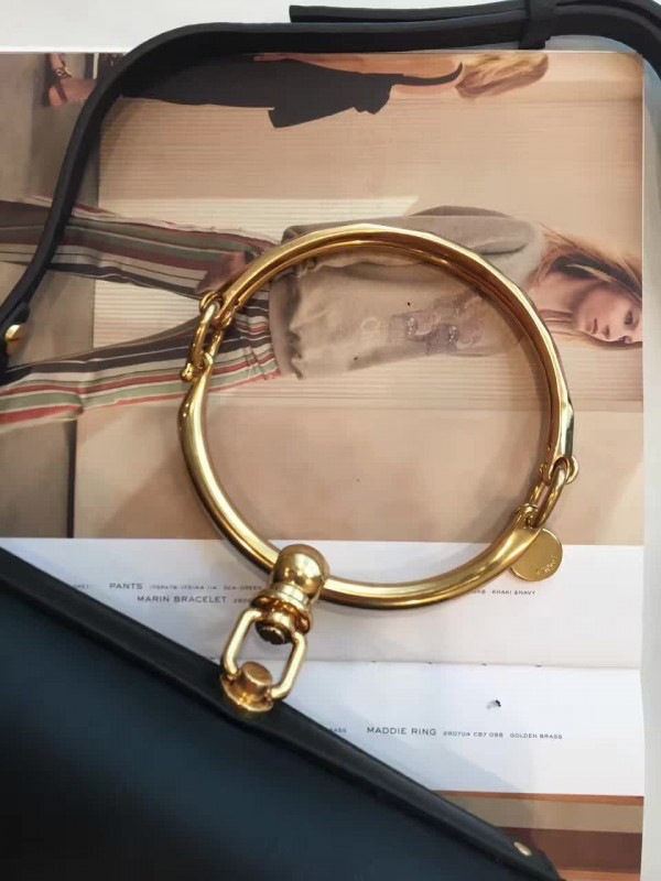 Chloe leather nile z1325 19.5cm x 6.5cm x 16cm