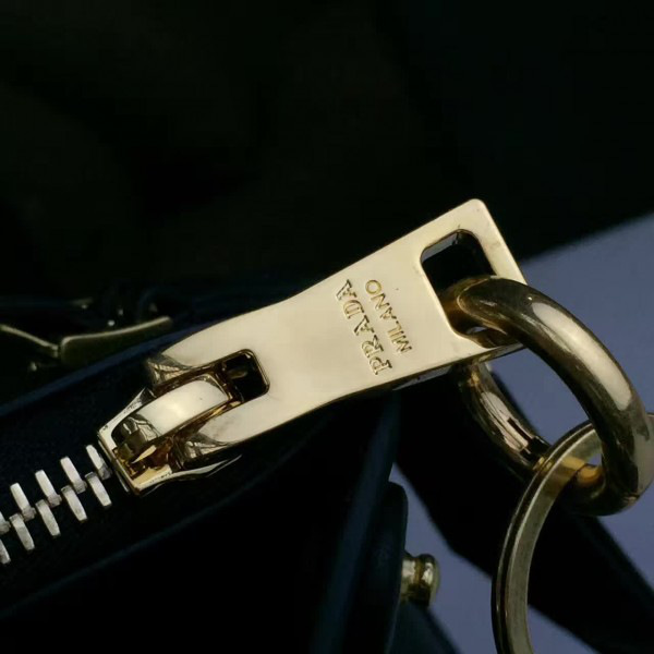 cohotbag Pra*a paradigme 3848