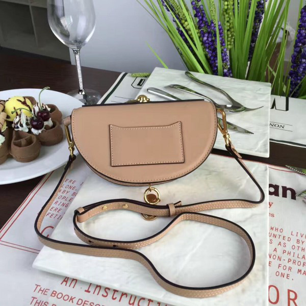 Chloe leather nile z1329 20cm x 12cm x 6cm