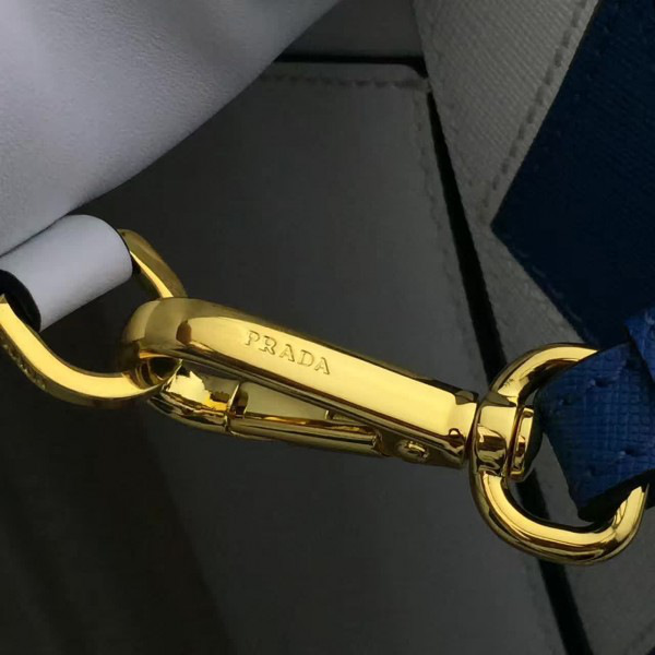 cohotbag Pra*a paradigme 3857