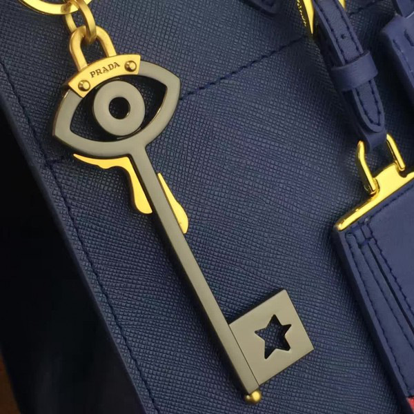 cohotbag Pra*a paradigme 3860