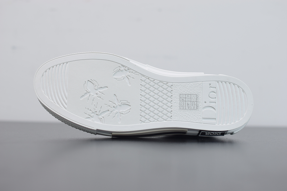 D10r low oblique sneakers