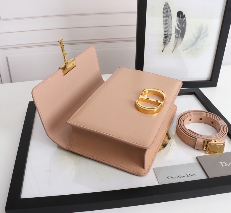 lady D10r montaigne smooth cowhide 24 x 17 x 8 cm