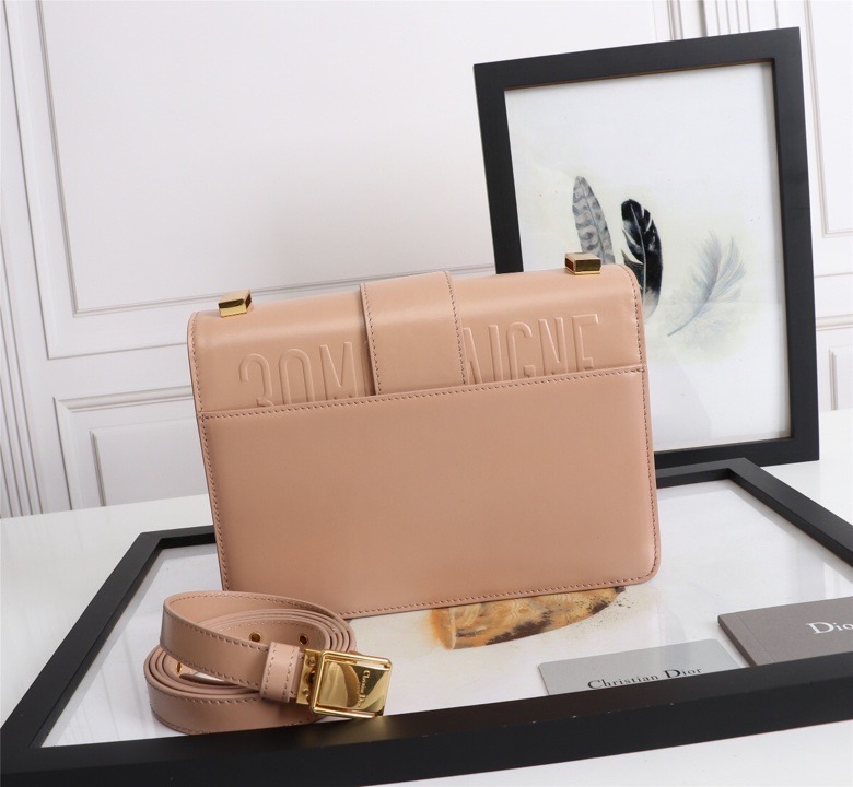 lady D10r montaigne smooth cowhide 24 x 17 x 8 cm