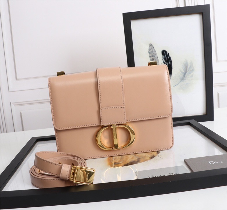 lady D10r montaigne smooth cowhide 24 x 17 x 8 cm