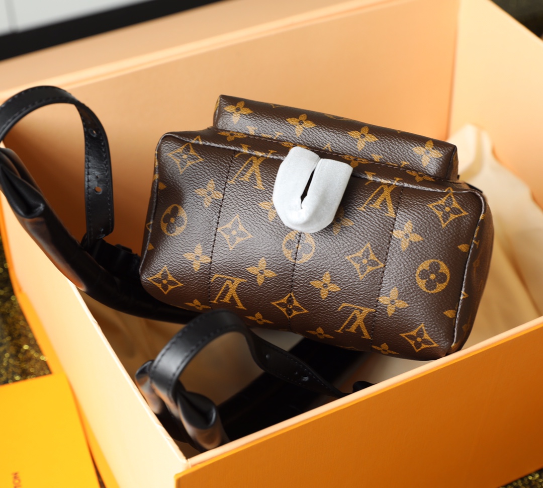 l0vis Vvtt0n palm springs pm backpack m44871 22 x 29 x 10 cm