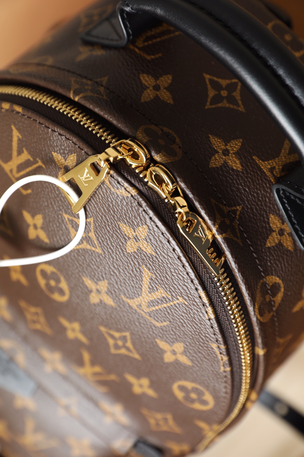 l0vis Vvtt0n palm springs pm backpack m44871 22 x 29 x 10 cm